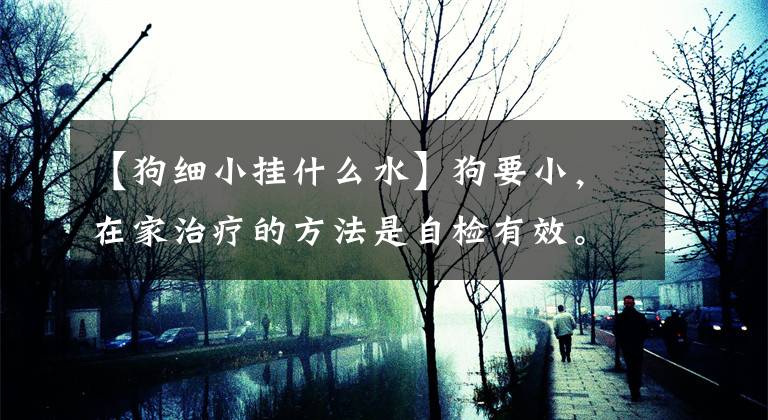 【狗细小挂什么水】狗要小，在家治疗的方法是自检有效。