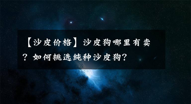 【沙皮价格】沙皮狗哪里有卖？如何挑选纯种沙皮狗？