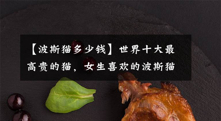 【波斯猫多少钱】世界十大最高贵的猫，女生喜欢的波斯猫仅列第九！