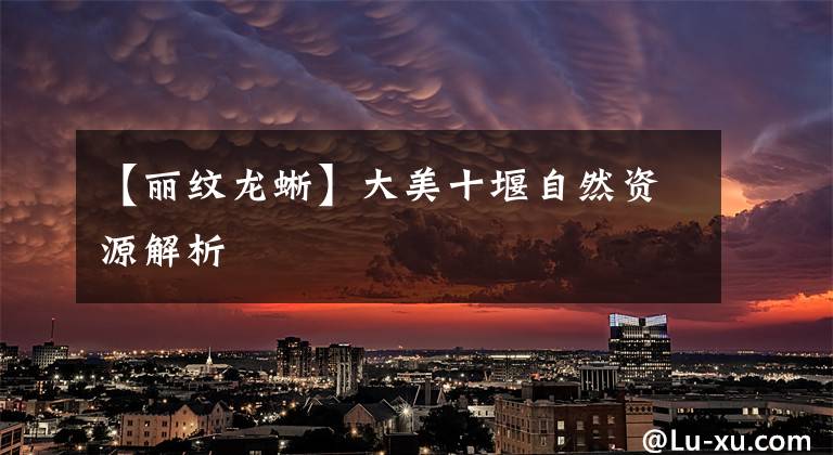 【丽纹龙蜥】大美十堰自然资源解析