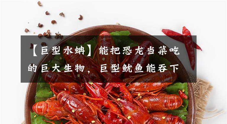 【巨型水蚺】能把恐龙当菜吃的巨大生物，巨型鱿鱼能吞下一艘船