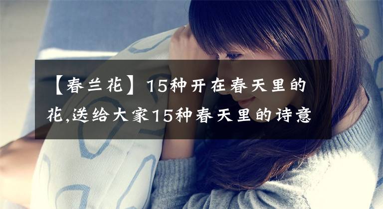 【春兰花】15种开在春天里的花,送给大家15种春天里的诗意