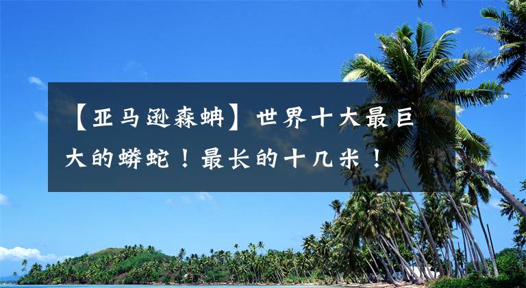 【亚马逊森蚺】世界十大最巨大的蟒蛇！最长的十几米！