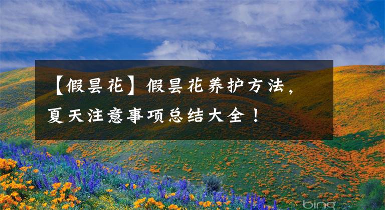 【假昙花】假昙花养护方法，夏天注意事项总结大全！
