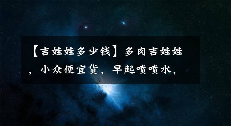 【吉娃娃多少钱】多肉吉娃娃，小众便宜货，早起喷喷水，叶片红润润，瞬间变美丽