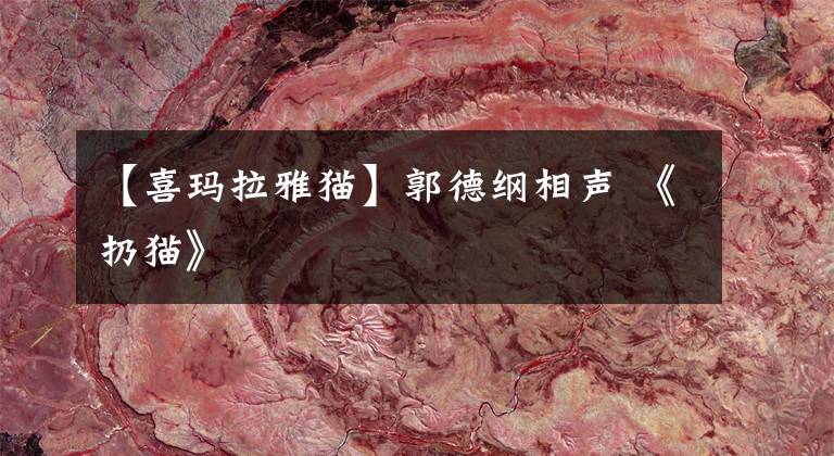 【喜玛拉雅猫】郭德纲相声 《扔猫》