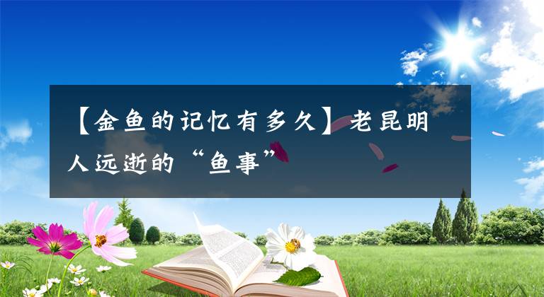【金鱼的记忆有多久】老昆明人远逝的“鱼事”