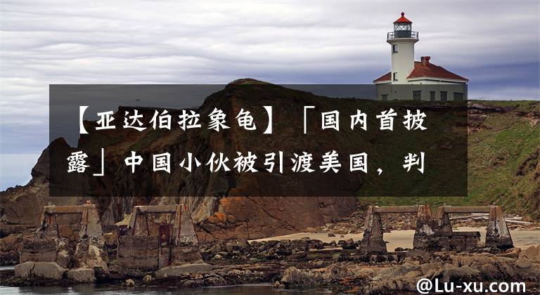 【亚达伯拉象龟】「国内首披露」中国小伙被引渡美国，判处监禁38个月！所为何事？