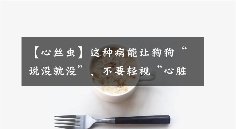 【心丝虫】这种病能让狗狗“说没就没”，不要轻视“心脏病”
