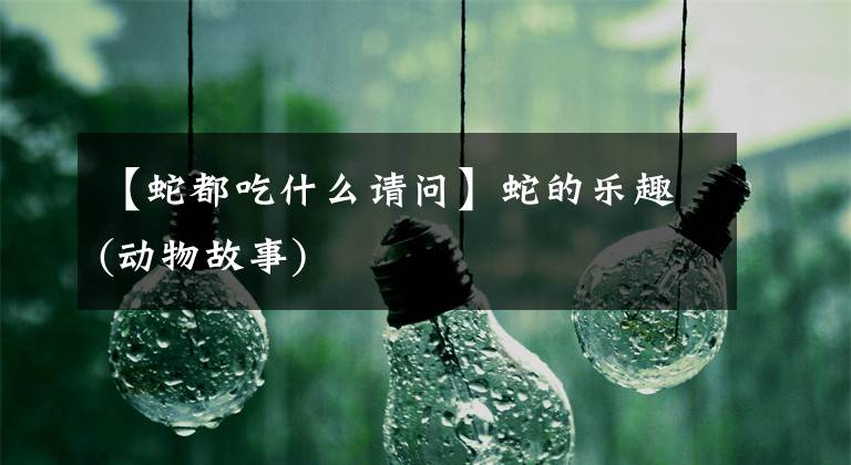 【蛇都吃什么请问】蛇的乐趣(动物故事)