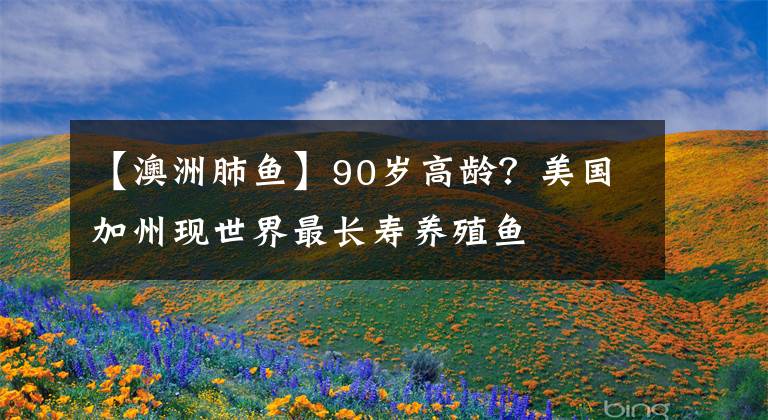 【澳洲肺鱼】90岁高龄？美国加州现世界最长寿养殖鱼