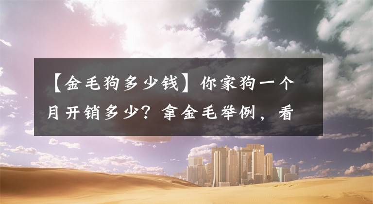 【金毛狗多少钱】你家狗一个月开销多少？拿金毛举例，看看你的工资都花在哪？