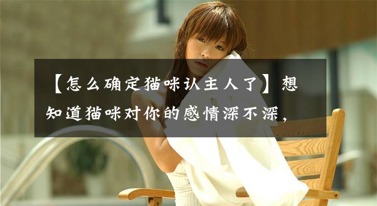 【怎么确定猫咪认主人了】想知道猫咪对你的感情深不深，看这些表现就知道了