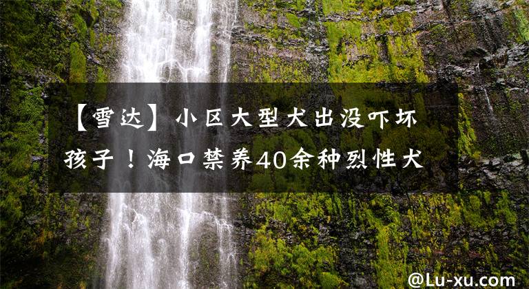 【雪达】小区大型犬出没吓坏孩子！海口禁养40余种烈性犬，品种有这些→