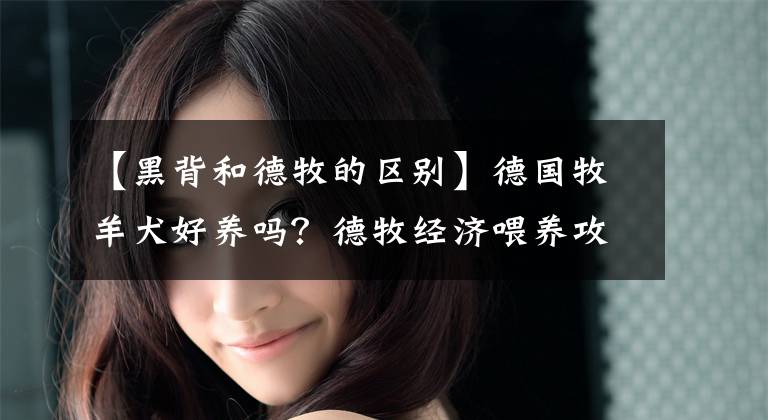【黑背和德牧的区别】德国牧羊犬好养吗？德牧经济喂养攻略分享