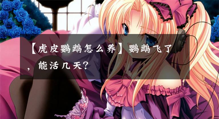 【虎皮鹦鹉怎么养】鹦鹉飞了，能活几天？
