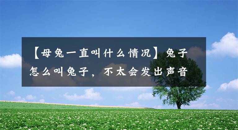 【母兔一直叫什么情况】兔子怎么叫兔子，不太会发出声音。