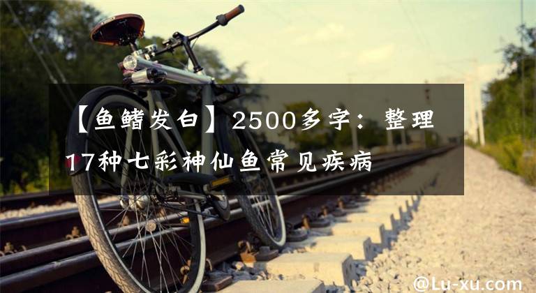 【鱼鳍发白】2500多字：整理17种七彩神仙鱼常见疾病
