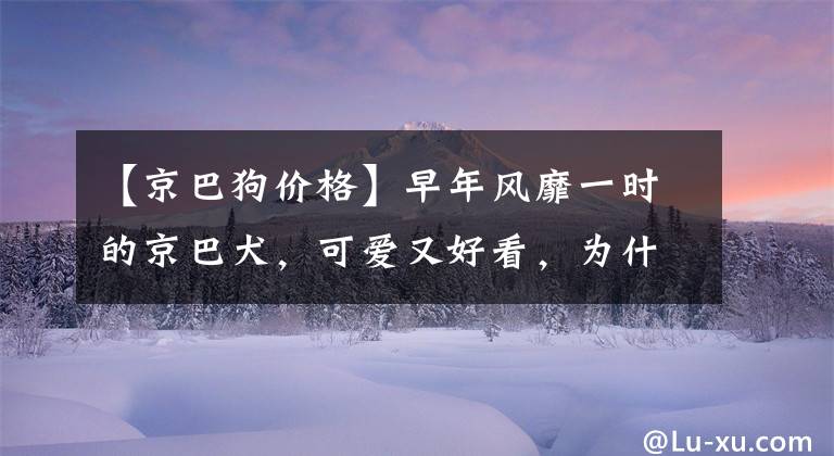 【京巴狗价格】早年风靡一时的京巴犬，可爱又好看，为什么现在都不见了？