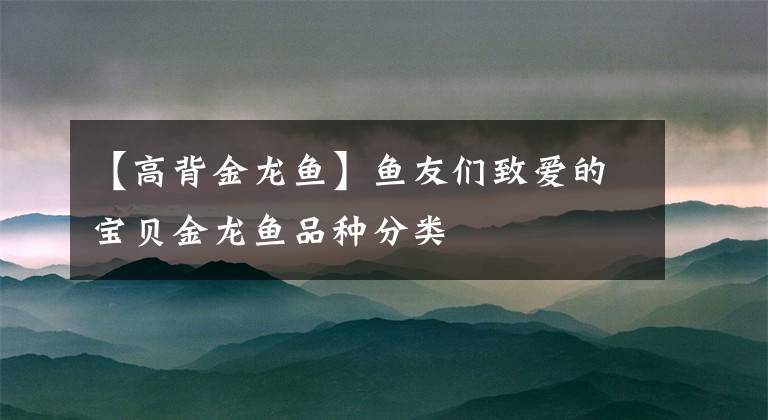 【高背金龙鱼】鱼友们致爱的宝贝金龙鱼品种分类