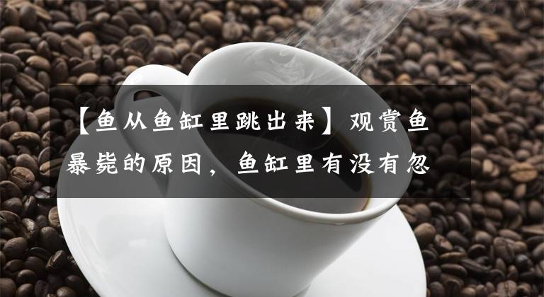 【鱼从鱼缸里跳出来】观赏鱼暴毙的原因，鱼缸里有没有忽然挂掉的鱼？找到原因了
