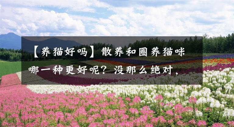 【养猫好吗】散养和圈养猫咪哪一种更好呢？没那么绝对，都有各自的优缺点
