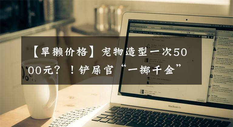 【旱獭价格】宠物造型一次5000元？！铲屎官“一掷千金”，2000多亿的市场蓄势待发