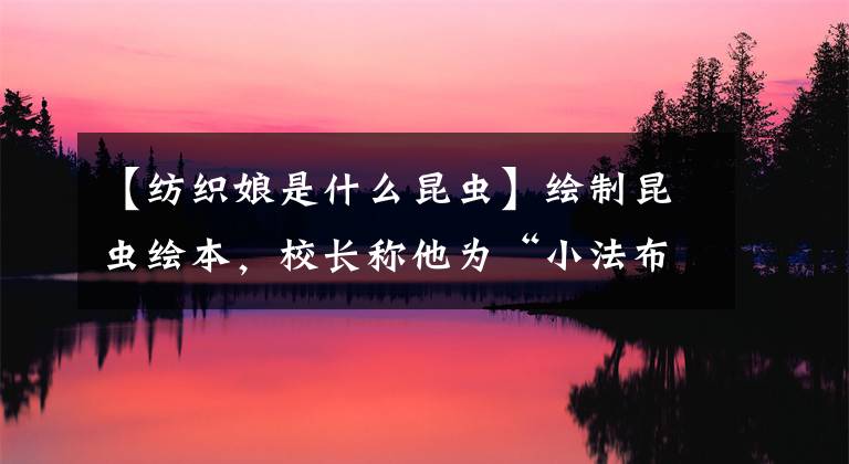 【纺织娘是什么昆虫】绘制昆虫绘本，校长称他为“小法布尔”，背后的故事令人感动——