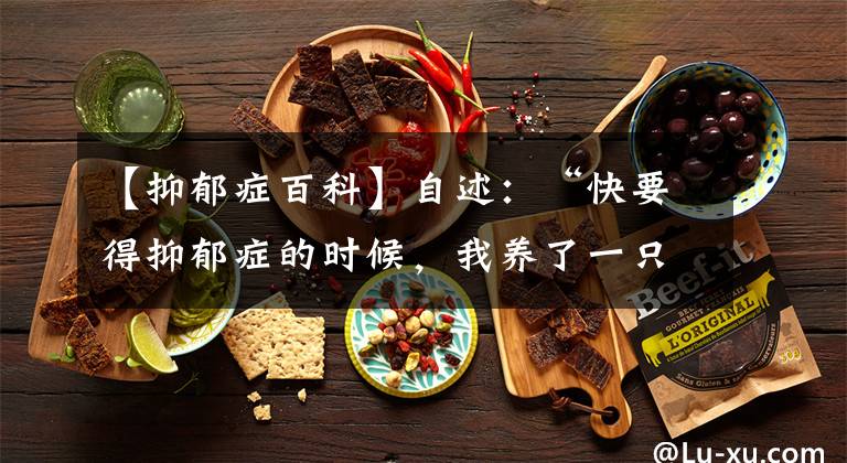 【抑郁症百科】自述：“快要得抑郁症的时候，我养了一只小猫”