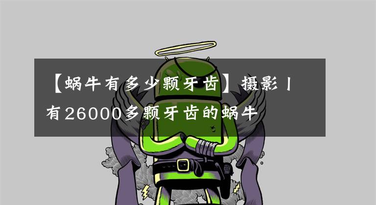 【蜗牛有多少颗牙齿】摄影丨有26000多颗牙齿的蜗牛