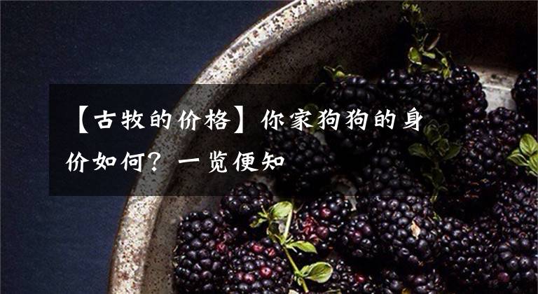 【古牧的价格】你家狗狗的身价如何？一览便知