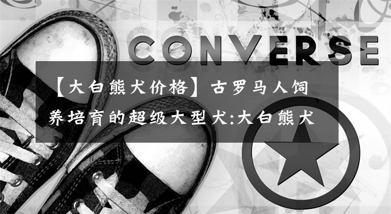 【大白熊犬价格】古罗马人饲养培育的超级大型犬:大白熊犬堪称狗中美人