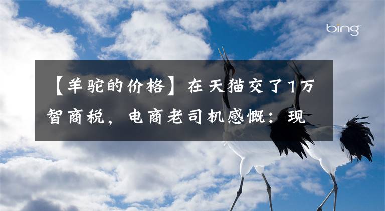【羊驼的价格】在天猫交了1万智商税，电商老司机感慨：现在网购太难了