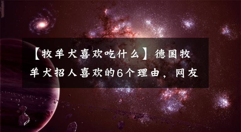 【牧羊犬喜欢吃什么】德国牧羊犬招人喜欢的6个理由，网友：看完我也想养一只