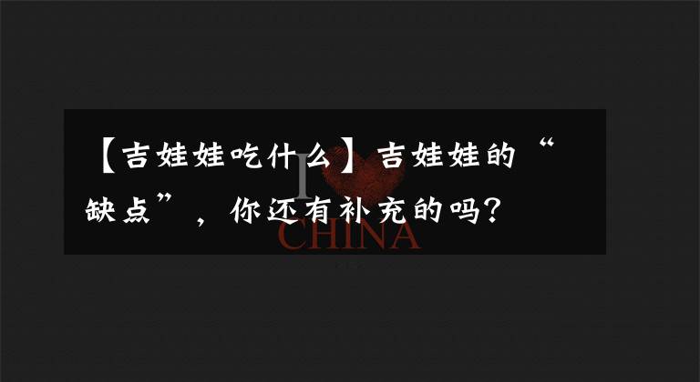 【吉娃娃吃什么】吉娃娃的“缺点”，你还有补充的吗？