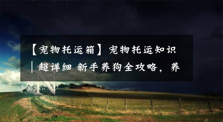 【宠物托运箱】宠物托运知识｜超详细 新手养狗全攻略，养出健康小奶狗