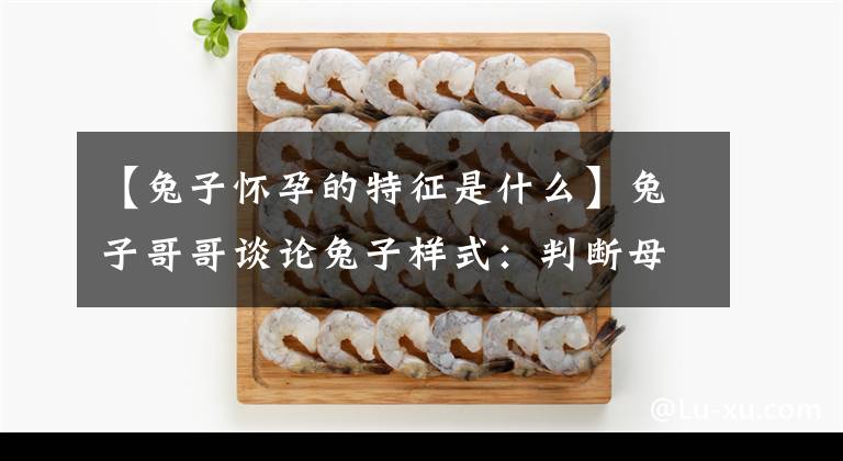 【兔子怀孕的特征是什么】兔子哥哥谈论兔子样式：判断母兔是否怀孕的两种方法。