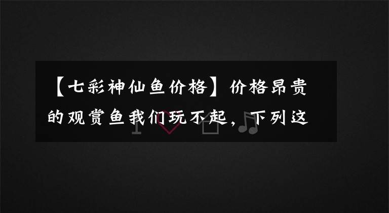 【七彩神仙鱼价格】价格昂贵的观赏鱼我们玩不起，下列这些鱼，看似便宜其实也很贵