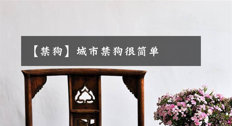 【禁狗】城市禁狗很简单