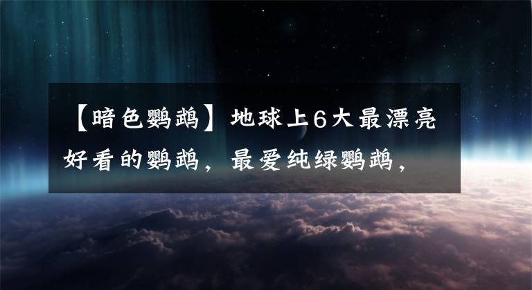 【暗色鹦鹉】地球上6大最漂亮好看的鹦鹉，最爱纯绿鹦鹉，你喜欢哪种？