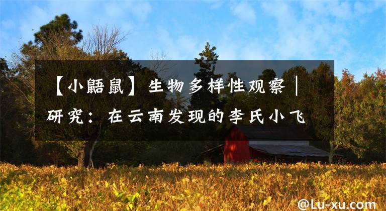 【小鼯鼠】生物多样性观察｜研究：在云南发现的李氏小飞鼠应归入新属类