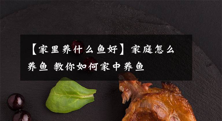 【家里养什么鱼好】家庭怎么养鱼 教你如何家中养鱼