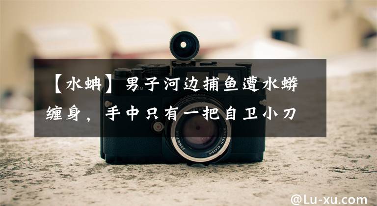【水蚺】男子河边捕鱼遭水蟒缠身，手中只有一把自卫小刀，却奇迹获救