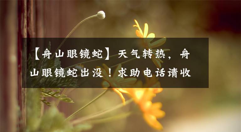 【舟山眼镜蛇】天气转热，舟山眼镜蛇出没！求助电话请收好>>