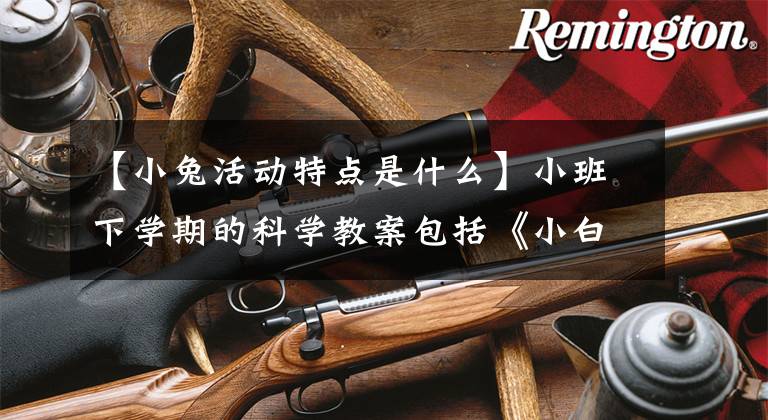 【小兔活动特点是什么】小班下学期的科学教案包括《小白兔蹦蹦跳》反映