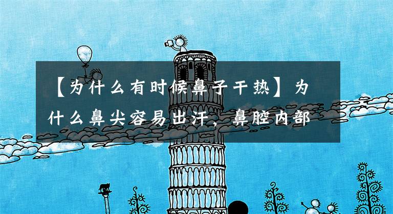 【为什么有时候鼻子干热】为什么鼻尖容易出汗，鼻腔内部却容易干燥？