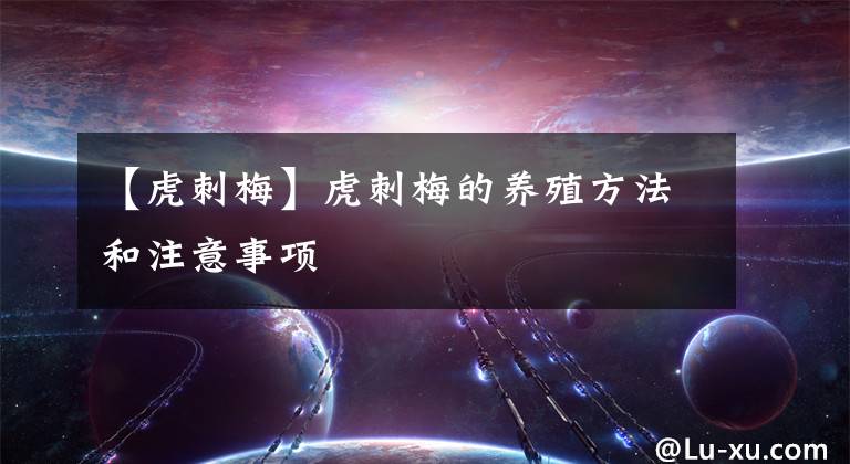 【虎刺梅】虎刺梅的养殖方法和注意事项