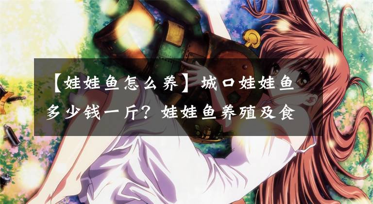 【娃娃鱼怎么养】城口娃娃鱼多少钱一斤？娃娃鱼养殖及食用注意事项