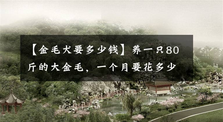 【金毛犬要多少钱】养一只80斤的大金毛，一个月要花多少钱
