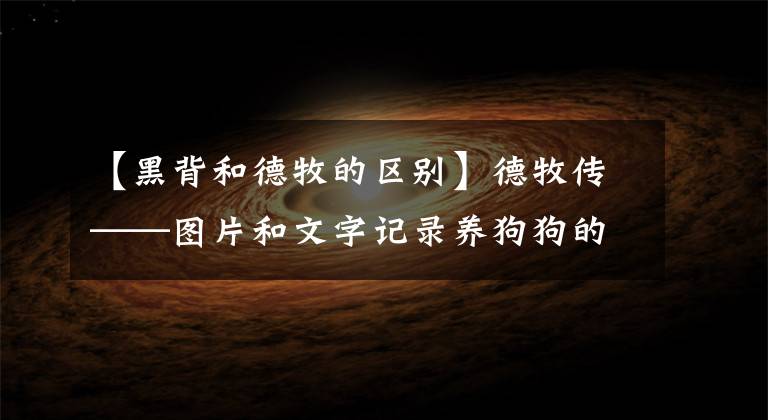【黑背和德牧的区别】德牧传——图片和文字记录养狗狗的基本常识和需要注意的事项